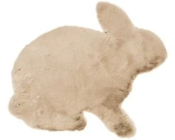 Kinderkleed Rabbit Taupe 70x80 Cm