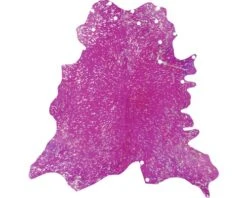 KAYOOM Vloerkleed Glam Paars/zilver 135x165 Cm