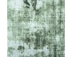 Vloerkleed New Orleans Lichtgroen 160x230 Cm 5 Vloerkleed New Orleans Lichtgroen 160x230 Cm -hornbach winkel DV 8 10144420 02 4c NL 20211201134655