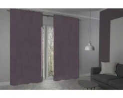 HOMING Gordijn Met Plooiband Galdin Lichtroze 140x245 Cm -hornbach winkel DV 8 10210872 02 4c DE 20210204051657