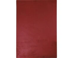 SOLEVITO Vloerkleed Romance Rood 160x230 Cm