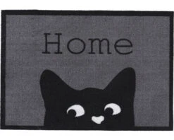 MD ENTREE Schoonloopmat Home Cat 40x60 Cm
