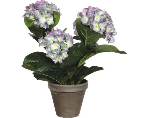 MICA DECORATIONS Kunstplant Hortensia Paars In Pot H 40 Cm 1 MICA DECORATIONS Kunstplant Hortensia Paars In Pot H 40 Cm
