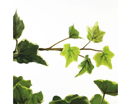 MICA DECORATIONS Kunstplant Hedera Hangend In Pot Lengte 129 Cm 2 MICA DECORATIONS Kunstplant Hedera Hangend In Pot Lengte 129 Cm - Afbeelding 2