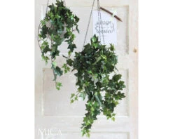 MICA DECORATIONS Kunstplant Hedera Hangend In Pot Lengte 129 Cm 8 MICA DECORATIONS Kunstplant Hedera Hangend In Pot Lengte 129 Cm -hornbach winkel DV 8 10345772 03 4c NL 20211026062708