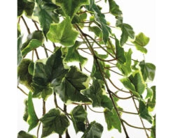 MICA DECORATIONS Kunstplant Hedera Hangend In Pot Lengte 129 Cm 7 MICA DECORATIONS Kunstplant Hedera Hangend In Pot Lengte 129 Cm -hornbach winkel DV 8 10345772 04 4c NL 20211026062736