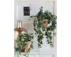 MICA DECORATIONS Kunstplant Hedera Hangend In Pot Lengte 129 Cm 9 MICA DECORATIONS Kunstplant Hedera Hangend In Pot Lengte 129 Cm -hornbach winkel DV 8 10345772 05 4c NL 20211026062804