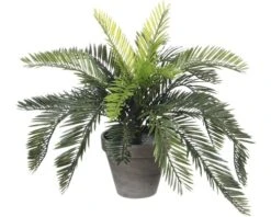 MICA DECORATIONS Kunstpalm Cycas Palm In Pot Stan Hoogte 37 Cm