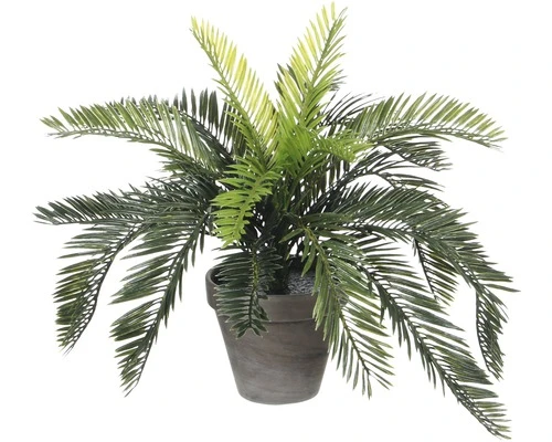 MICA DECORATIONS Kunstpalm Cycas Palm In Pot Stan Hoogte 37 Cm 1 MICA DECORATIONS Kunstpalm Cycas Palm In Pot Stan Hoogte 37 Cm