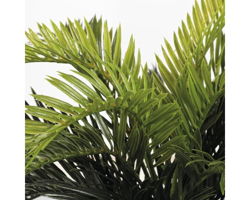 MICA DECORATIONS Kunstpalm Cycas Palm In Pot Stan Hoogte 37 Cm 2 MICA DECORATIONS Kunstpalm Cycas Palm In Pot Stan Hoogte 37 Cm - Afbeelding 2
