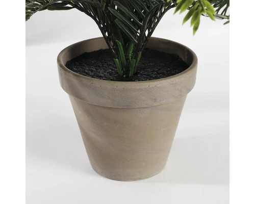 MICA DECORATIONS Kunstpalm Cycas Palm In Pot Stan Hoogte 37 Cm 3 MICA DECORATIONS Kunstpalm Cycas Palm In Pot Stan Hoogte 37 Cm - Afbeelding 3