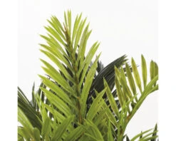 MICA DECORATIONS Kunstpalm Cycas Palm In Pot Stan Hoogte 37 Cm 7 MICA DECORATIONS Kunstpalm Cycas Palm In Pot Stan Hoogte 37 Cm -hornbach winkel DV 8 10345775 04 4c NL 20211026050551