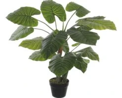 MICA DECORATIONS Kunstplant Taro In Pot Hoogte 90 Cm