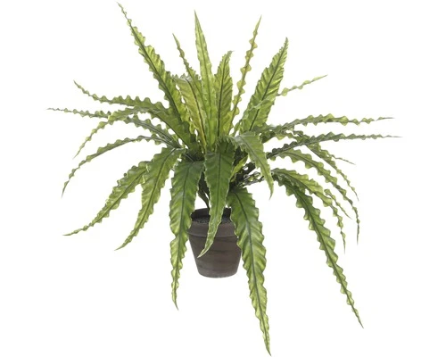 MICA DECORATIONS Kunstplant Asplenium In Pot Hoogte 54 Cm 1 MICA DECORATIONS Kunstplant Asplenium In Pot Hoogte 54 Cm