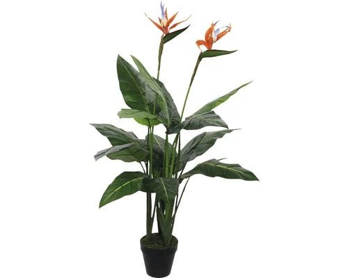 MICA DECORATIONS Kunstplant Strelitzia In Pot Hoogte 110 Cm 1 MICA DECORATIONS Kunstplant Strelitzia In Pot Hoogte 110 Cm