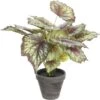 MICA DECORATIONS Kunstplant Begonia Rood In Pot Stan Hoogte 40 Cm