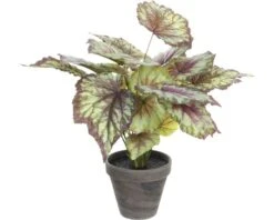 MICA DECORATIONS Kunstplant Begonia Rood In Pot Stan Hoogte 40 Cm