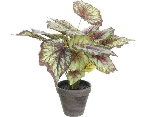 MICA DECORATIONS Kunstplant Begonia Rood In Pot Stan Hoogte 40 Cm 1 MICA DECORATIONS Kunstplant Begonia Rood In Pot Stan Hoogte 40 Cm