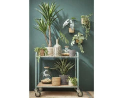 MICA DECORATIONS Kunstplant Yucca In Pot Hoogte 120 Cm -hornbach winkel DV 8 10345804 05 4c NL 20211030090231