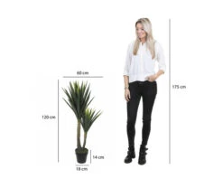 MICA DECORATIONS Kunstplant Yucca In Pot Hoogte 120 Cm -hornbach winkel DV 8 10345804 06 4c NL 20211030090302