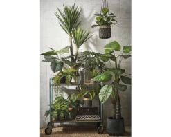 MICA DECORATIONS Kunstplant Yucca In Pot Hoogte 120 Cm -hornbach winkel DV 8 10345804 08 4c NL 20211030090406