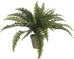 MICA DECORATIONS Kunstplant Varen In Pot Stan Hoogte 45 Cm