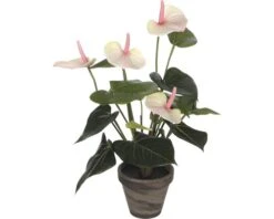 MICA DECORATIONS Kunstplant Anthurium Roze In Pot Hoogte 40 Cm
