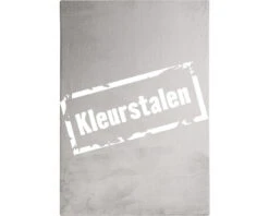 SOLEVITO Kleurstaal Romance Zilver