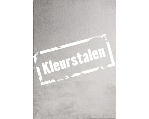 SOLEVITO Kleurstaal Romance Zilver 1 SOLEVITO Kleurstaal Romance Zilver