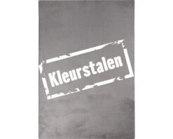 SOLEVITO Kleurstaal Romance Antraciet