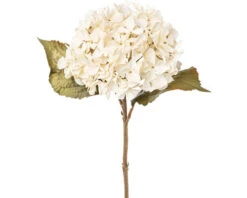 Kunstplant Hortensia Beige H 46 Cm