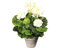 Kunstplant Geranium Wit In Pot H 34 Cm
