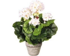 Kunstplant Geranium Wit/roze In Pot H 34 Cm