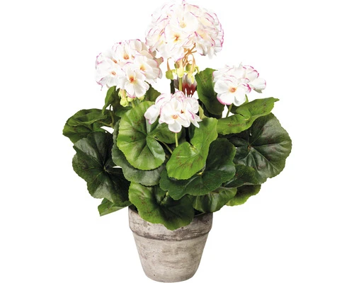 Kunstplant Geranium Wit/roze In Pot H 34 Cm 1 Kunstplant Geranium Wit/roze In Pot H 34 Cm