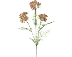 Kunstplant Duizendblad Oud Roze H 57 Cm