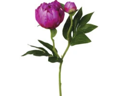 Kunstplant Pioenroos Rood H 46 Cm