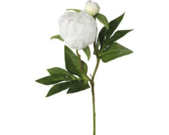 Kunstplant Pioenroos Wit H 46 Cm