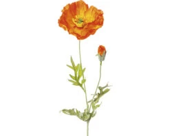 Kunstplant Klaproos Oranje H 58 Cm