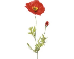 Kunstplant Klaproos Rood H 58 Cm