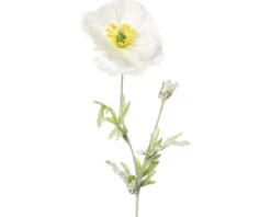 Kunstplant Klaproos Wit H 58 Cm