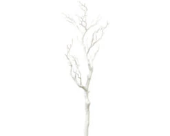 Kunstplant Decotak Wit H 73 Cm