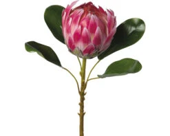 Kunstplant Konings Protea Roze H 53 Cm