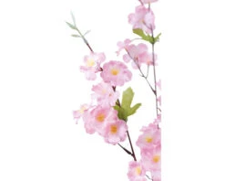 LAFIORA Kunstplant Bloemsem Tak Roze H 54 Cm -hornbach winkel DV 8 10582357 02 4c DE 20230126154753