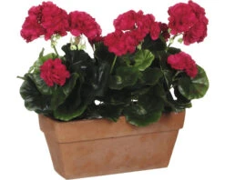 MICA Kunstplant Geranium Donker Roze In Balkonbak 29x13x40 Cm
