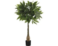 MICA Kunstplant Pachira In Pot Ø 60 Cm H 80 Cm