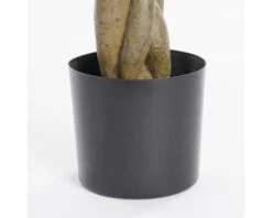 MICA Kunstplant Pachira In Pot Ø 60 Cm H 80 Cm 8 MICA Kunstplant Pachira In Pot Ø 60 Cm H 80 Cm -hornbach winkel DV 8 10590909 03 4c NL 20230208144538