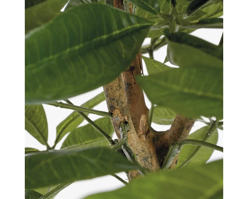 MICA Kunstplant Pachira In Pot Ø 60 Cm H 80 Cm 4 MICA Kunstplant Pachira In Pot Ø 60 Cm H 80 Cm - Afbeelding 4