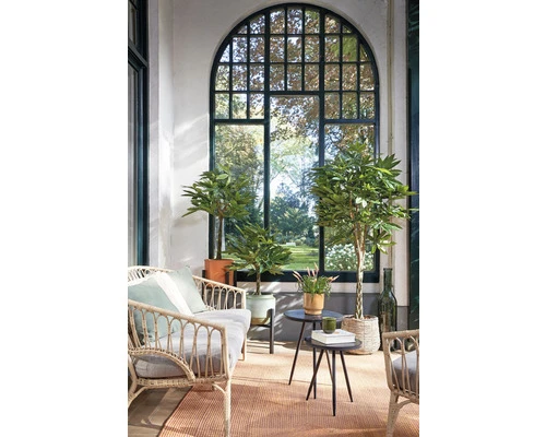 MICA Kunstplant Pachira In Pot Ø 60 Cm H 80 Cm 6 MICA Kunstplant Pachira In Pot Ø 60 Cm H 80 Cm - Afbeelding 6