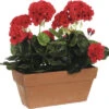 MICA Kunstplant Geranium Rood In Balkonbak 29x13x40 Cm
