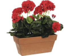 MICA Kunstplant Geranium Rood In Balkonbak 29x13x40 Cm